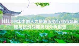 2024-2029年中国人力资源服务行业市场前瞻与投资战略规划分析报告