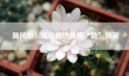 新民市：缤纷活动展现“她”风采