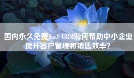 国内永久免费SaaS CRM如何帮助中小企业提升客户管理和销售效率？