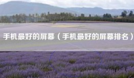 手机最好的屏幕（手机最好的屏幕排名）