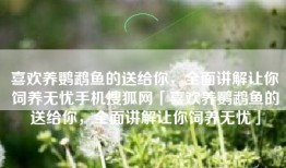 喜欢养鹦鹉鱼的送给你，全面讲解让你饲养无忧手机搜狐网「喜欢养鹦鹉鱼的送给你，全面讲解让你饲养无忧」