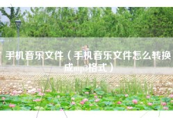 手机音乐文件（手机音乐文件怎么转换成mp3格式）
