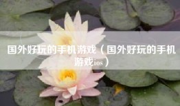 国外好玩的手机游戏（国外好玩的手机游戏ios）