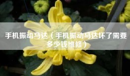 手机振动马达（手机振动马达坏了需要多少钱维修）