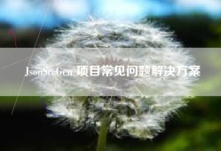 JsonSrcGen 项目常见问题解决方案