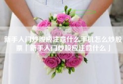新手入门炒股应注意什么手机怎么炒股票「新手入门炒股应注意什么」