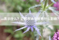 au表示什么？它对市场分析有什么影响？