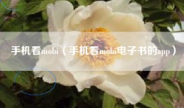 手机看mobi（手机看mobi电子书的app）