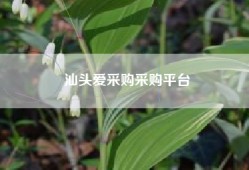 汕头爱采购采购平台
