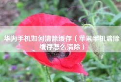 华为手机如何清除缓存（苹果手机清除缓存怎么清除）