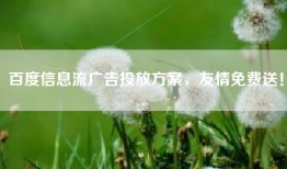 百度信息流广告投放方案，友情免费送！