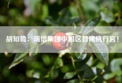 胡知鸷：瑞信集团中国区首席执行官！