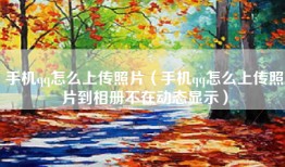 手机qq怎么上传照片（手机qq怎么上传照片到相册不在动态显示）
