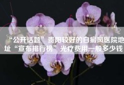 “公开话题”贵阳较好的白癜风医院地址“宣布排行榜”光疗费用一般多少钱