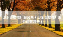 山东百度推广服务商（山东百度推广服务商有哪些）