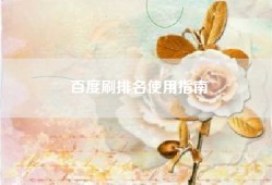 百度刷排名使用指南