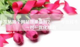 发帖哪个网站效果最好？——专业技术一对一优化服务