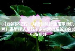 消费盲返模式：为快销品行业带来新机遇！讲解模式系统+定制营销系统+突破电商瓶颈