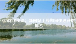 SEO优化秘诀：新网站上线如何快速获得排名