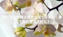 买二手手机要注意什么买二手手机「买二手手机要注意什么」
