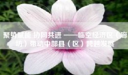 聚势赋能 协同共进 ——临空经济区（廊坊）带动中部县（区）跨越发展