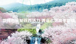 雷锋市集聚铁西活力 青年志愿展奉献精神