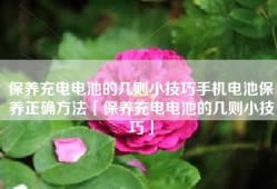 保养充电电池的几则小技巧手机电池保养正确方法「保养充电电池的几则小技巧」
