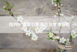 国内BT搜索引擎排名及使用指南