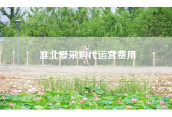 淮北爱采购代运营费用