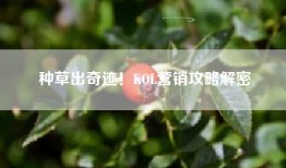 种草出奇迹！KOL营销攻略解密