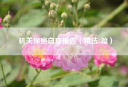 机关保密自查报告（精选5篇）