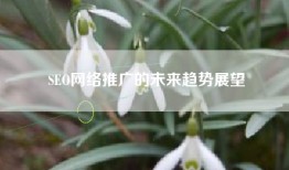 SEO网络推广的未来趋势展望