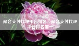 聚合支付代理平台排名，聚合支付代理平台排名前十