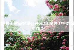 陇县卫健局党组召开2025年全县卫生健康工作会