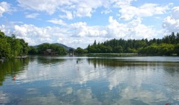 现在西方流行的生活方式有哪些，比如低碳、乐活等，有没有和中国传统文化相关的流行文化和生活方式？
