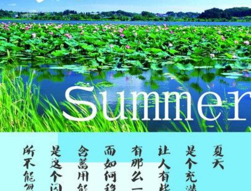 最受欢迎app排名，什么软件最受欢迎