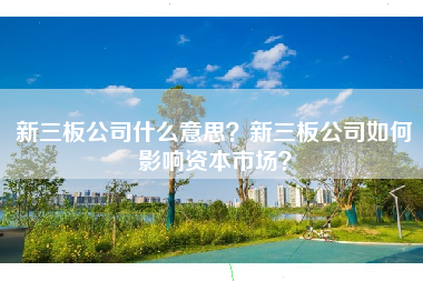 新三板公司什么意思？新三板公司如何影响资本市场？