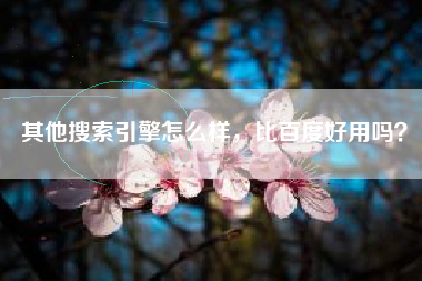 其他搜索引擎怎么样，比百度好用吗？