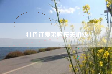 牡丹江爱采购按天扣费