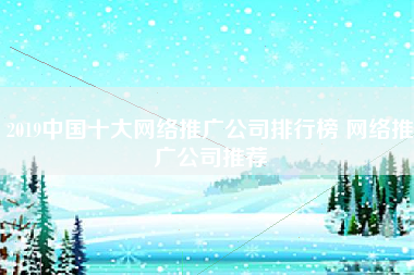 2019中国十大网络推广公司排行榜 网络推广公司推荐