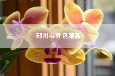 郑州seo外包服务