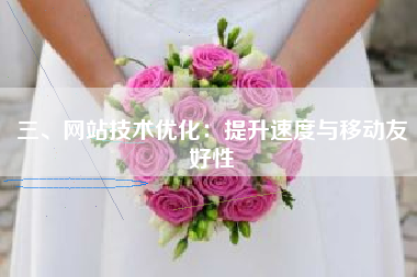 三、网站技术优化：提升速度与移动友好性