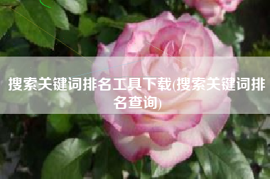 搜索关键词排名工具下载(搜索关键词排名查询)