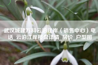 武汉城建万科云泊江岸（销售中心）电话_云泊江岸楼盘详情_房价_户型图