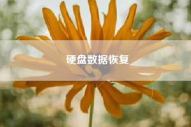硬盘数据恢复