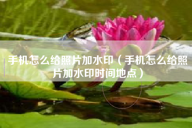 手机怎么给照片加水印（手机怎么给照片加水印时间地点）