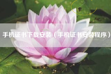 手机证书下载安装（手机证书安装程序）