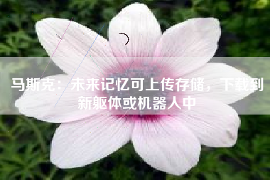 马斯克：未来记忆可上传存储，下载到新躯体或机器人中