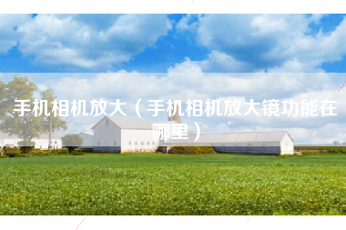 手机相机放大（手机相机放大镜功能在哪里）