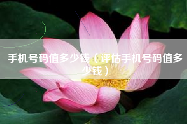 手机号码值多少钱（评估手机号码值多少钱）